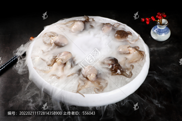 八爪魚
