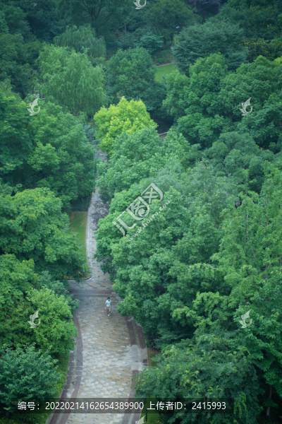 林間小路