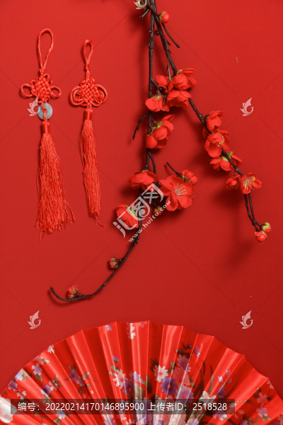 新年春節(jié)元素紅色裝飾物料