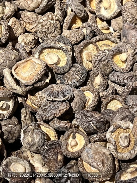 香菇