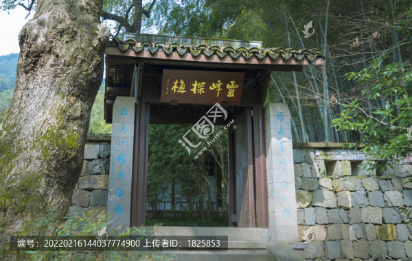 靈峰探梅