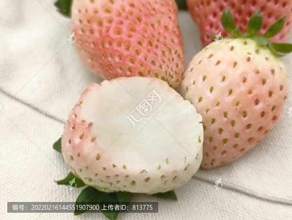 雪白白草莓