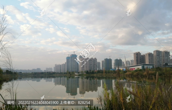 城市