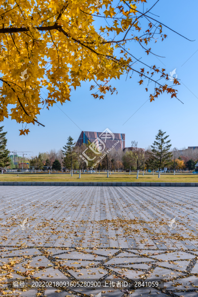 中國遼寧沈陽的中央公園