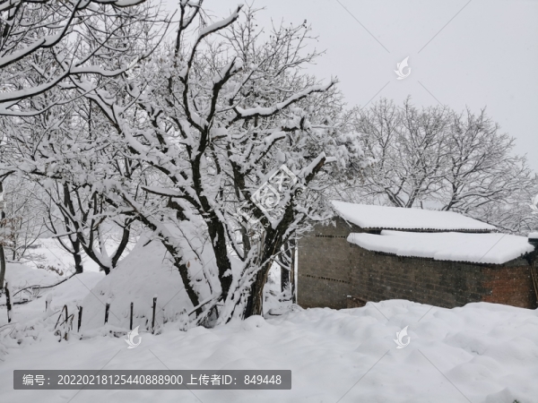 大樹與老房子鄉(xiāng)村雪景