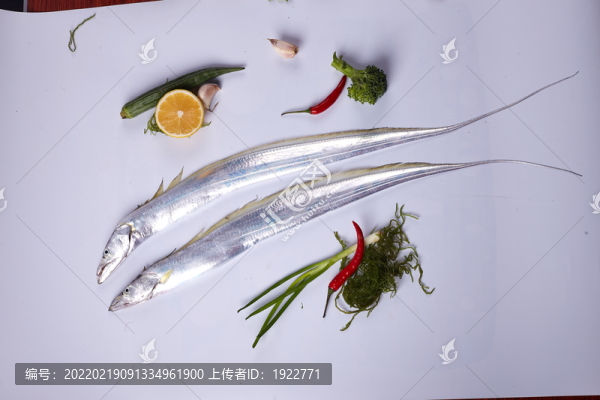 帶魚