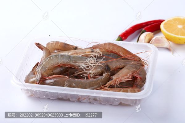 沙蝦