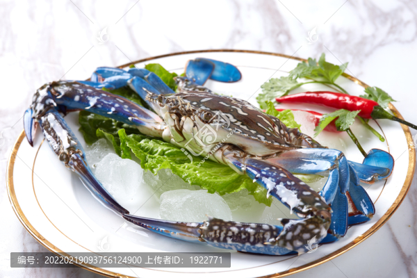 青腳蟹