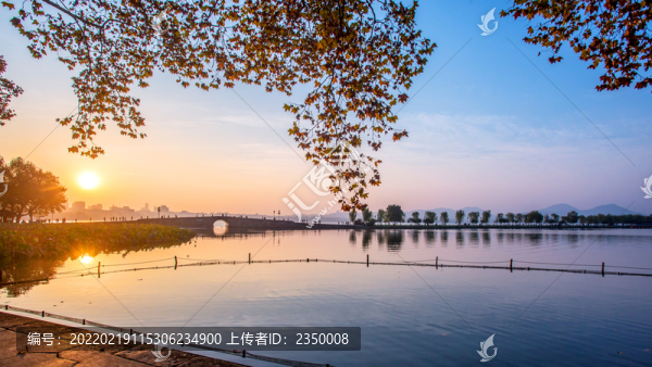 西湖的早晨