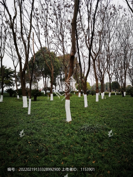 森林公園