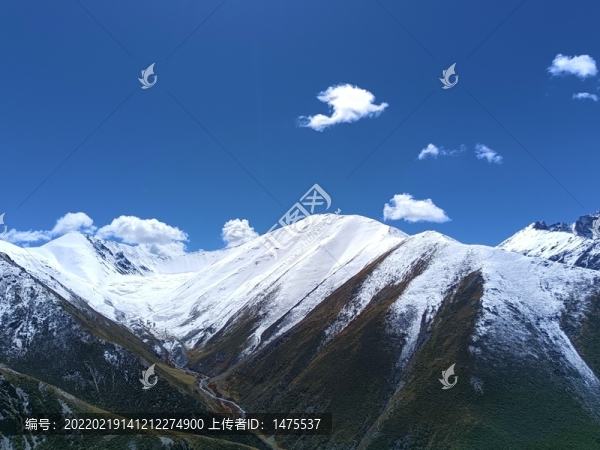 西藏雪山