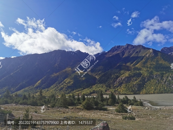 西藏美景