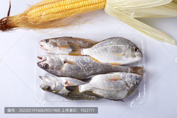 海鮮雜魚