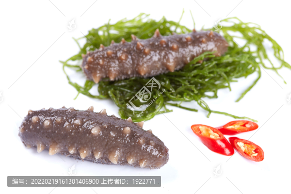 海參