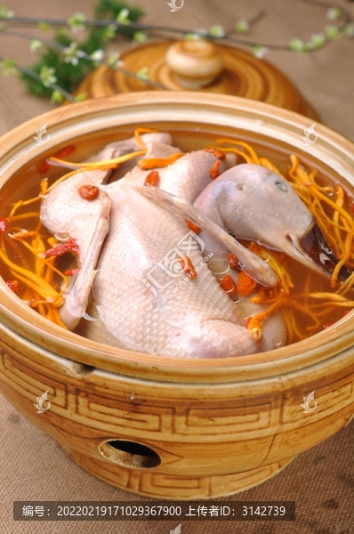 蟲草花老鴨湯