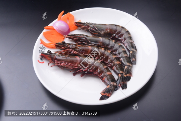 斑節(jié)蝦