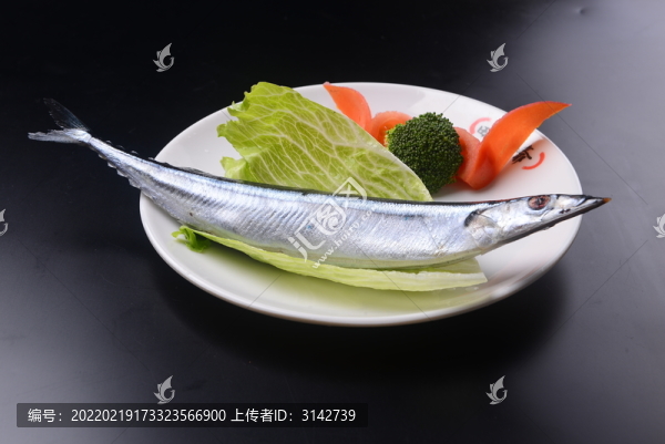 秋刀魚(yú)