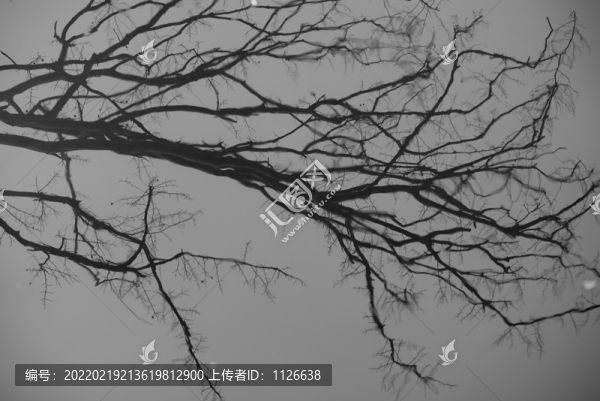 水面倒影