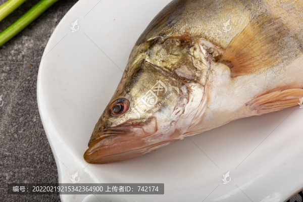 徽州臭鱖魚