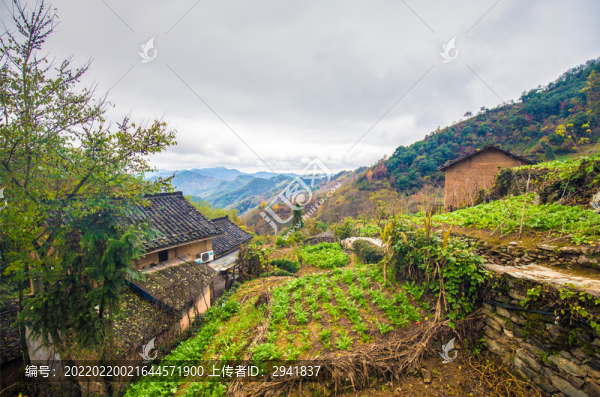 山村小菜園
