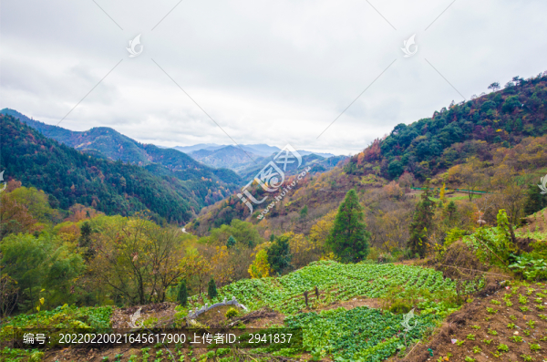 山村小菜園
