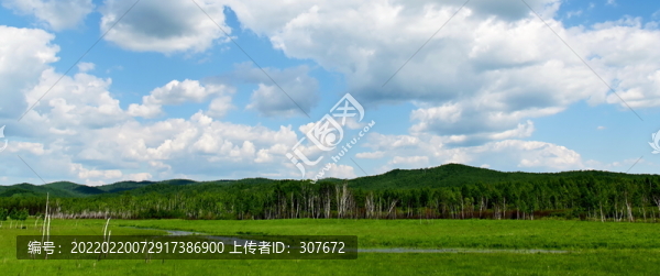 北方夏季風(fēng)光