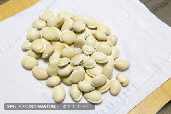 一小堆白扁豆素材