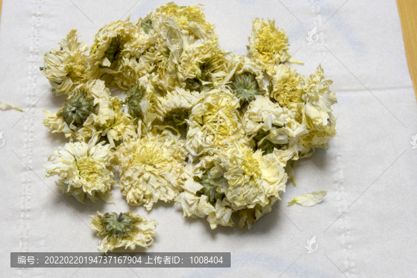 貢菊菊花素材