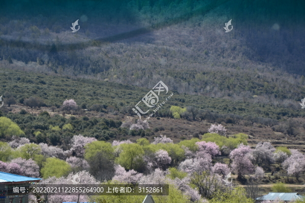 雅魯藏布江風(fēng)景