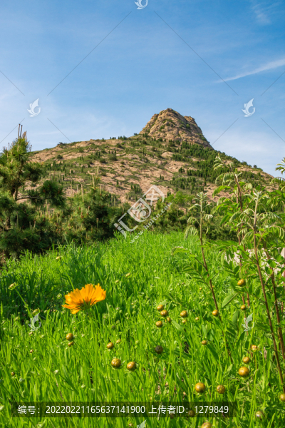 大乳山