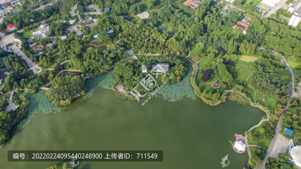 龍湖公園俯瞰