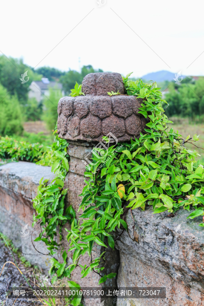 德清壽昌橋