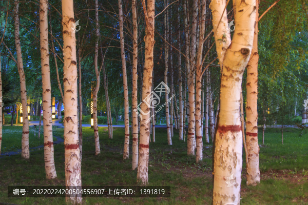 新疆富蘊(yùn)城市夜景