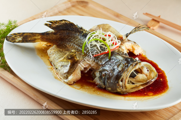 清蒸石斑魚
