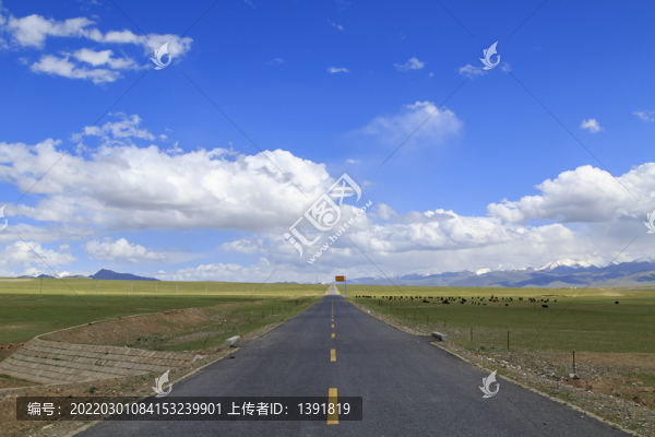 青海祁連風(fēng)光