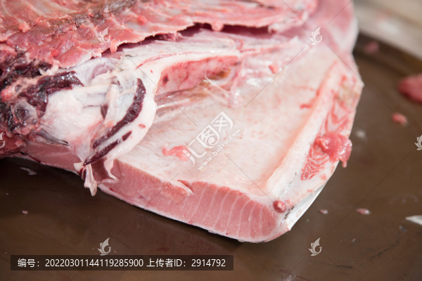 刺身生魚(yú)片金槍魚(yú)