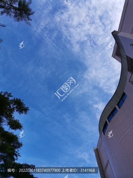 藍天下的樹木和建筑