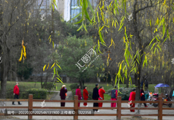 公園晨練的老人