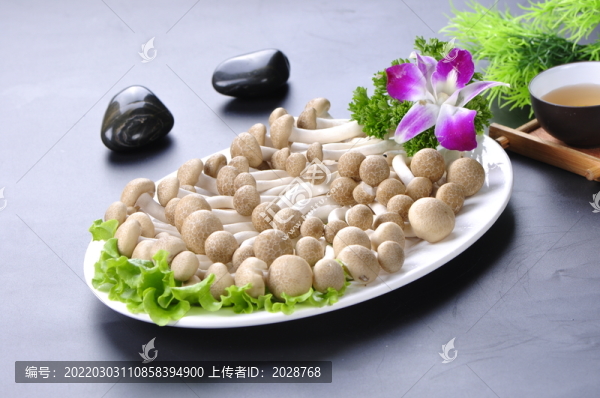 蟹味菇