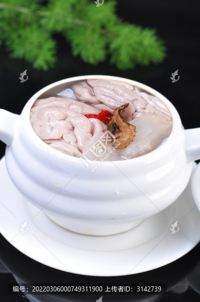 燉豬腦