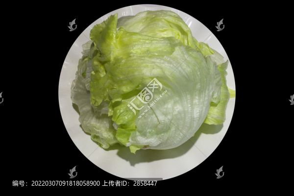 圓生菜