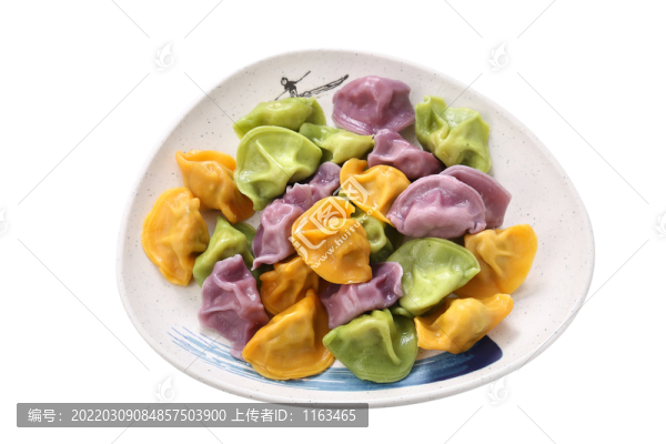 蔬菜餃子