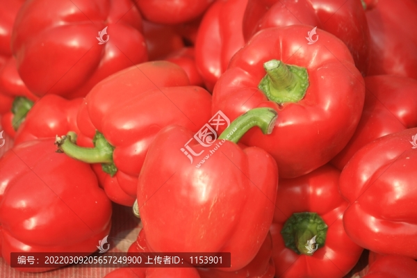 紅椒
