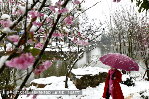 陽春白雪