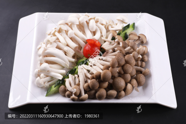 菌菇雙拼