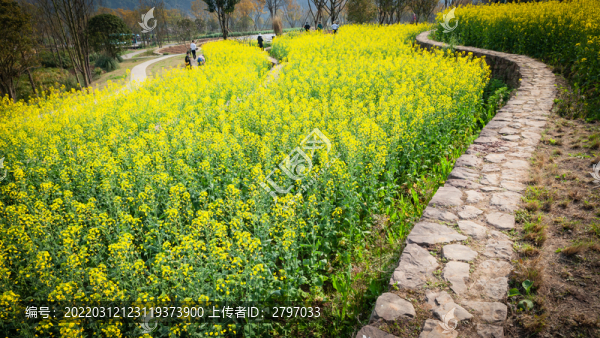 重慶廣陽(yáng)島