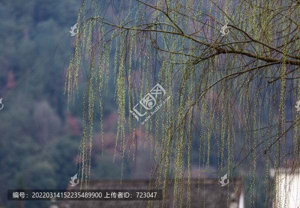 武義俞源村
