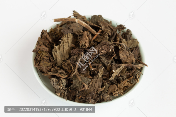 中藥紫蘇葉在白背景上