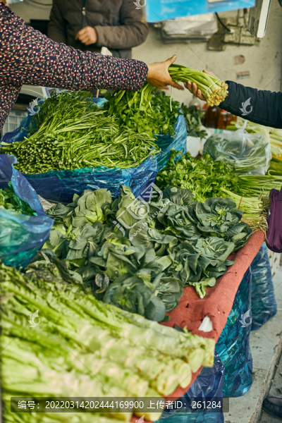 農(nóng)貿(mào)市場(chǎng)買菜