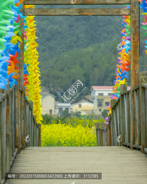 長沙岳麓區(qū)沃之園七彩油菜花